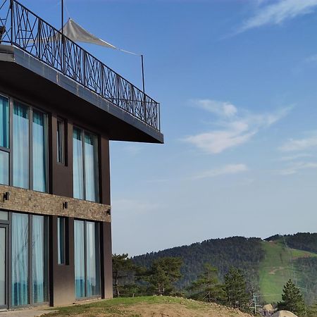 Vila Onyx Divčibare Eksteriør bilde